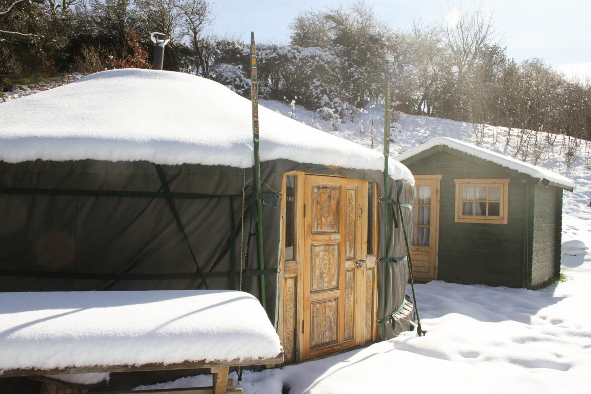 Crazy Pheasant Vila Mold Exterior foto